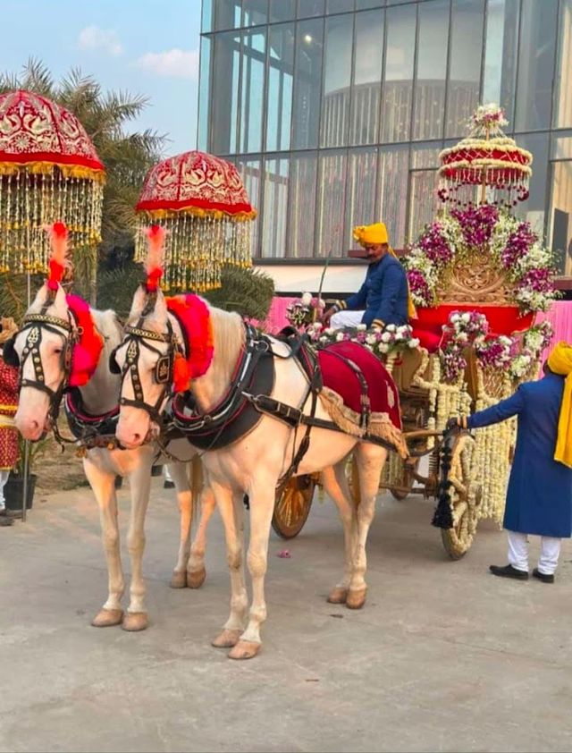 Dhara Dhol Wala