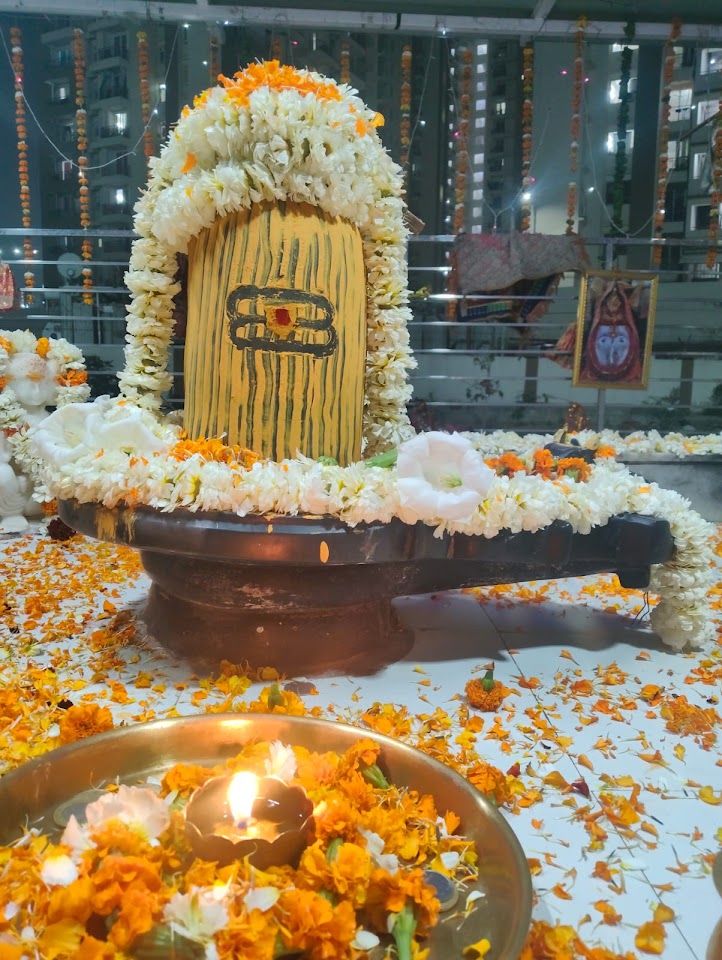 Pandit Ji Astrologer