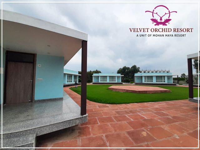 Velvet Orchid Resort