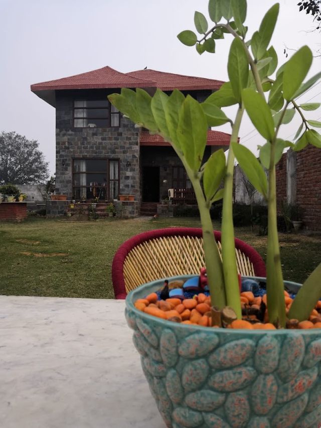 Sainik Farm Gurugram
