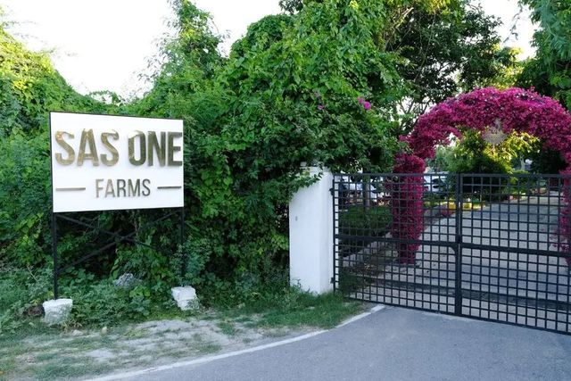SAS One Farms