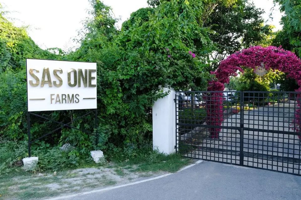 SAS One Farms