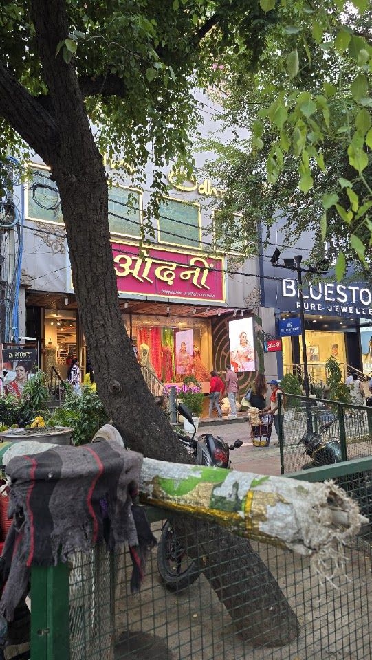 ODHNI Pitampura ( Nishant Kunj )