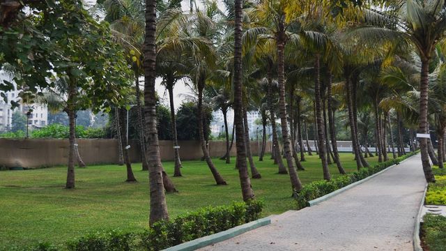 Pandit Farms