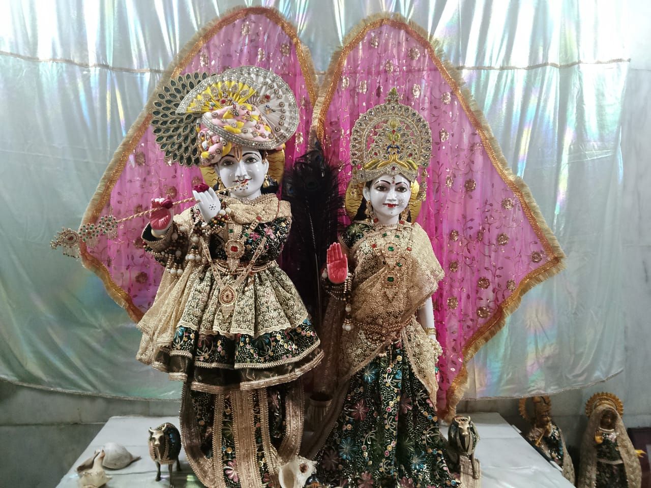 Shree radhe vedic astro