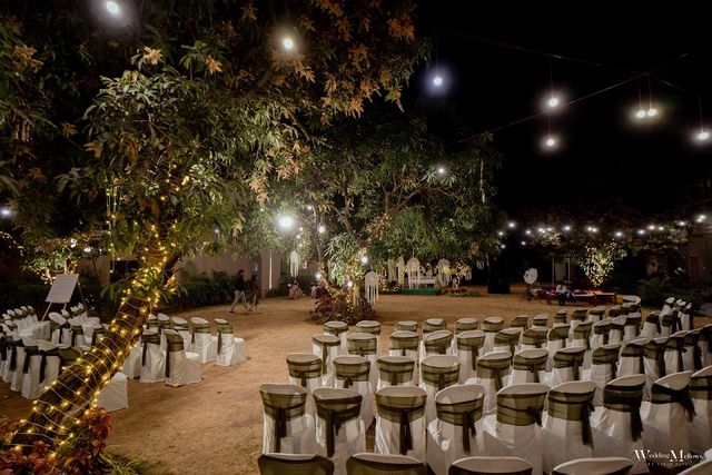 Love Farm / mahi events
