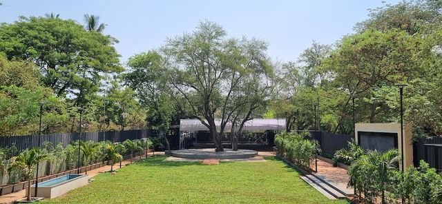 Bougainvillea Farms